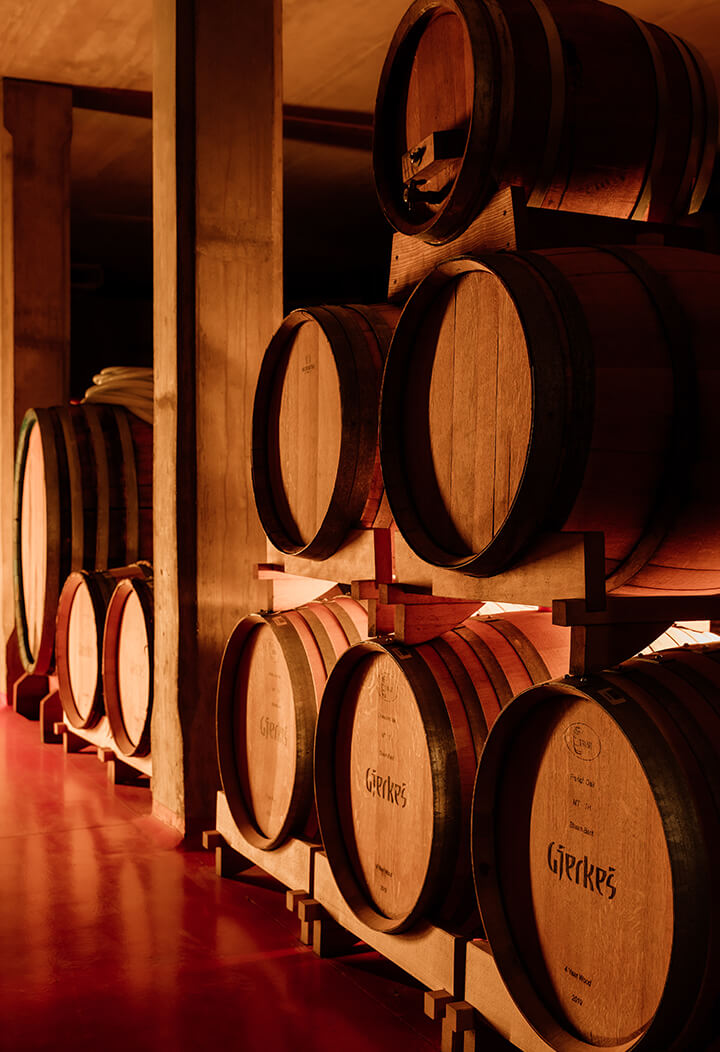 Gjerkes_prvi_edit-(11)